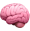 Brain